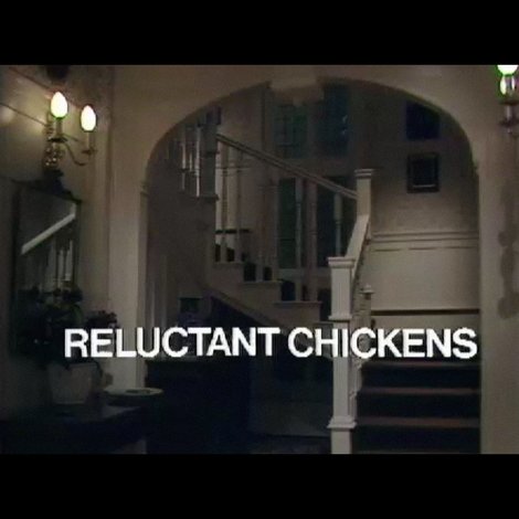 Reluctant Chickens