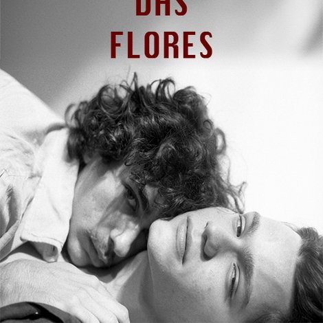 Falando das Flores