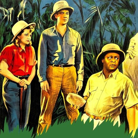 Law of the Jungle