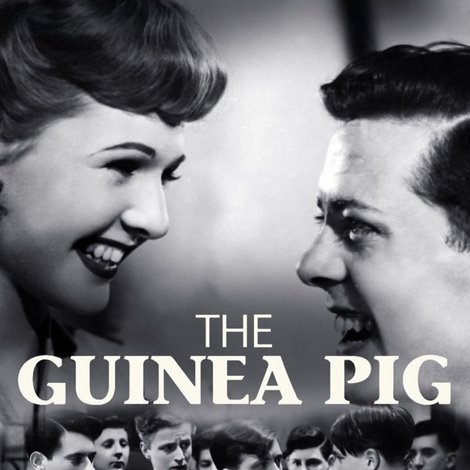The Guinea Pig