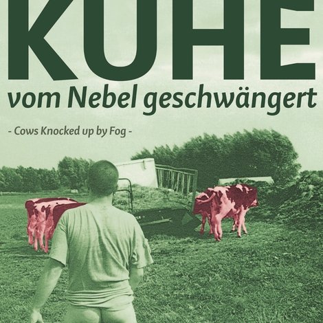 Kühe, vom Nebel geschwängert