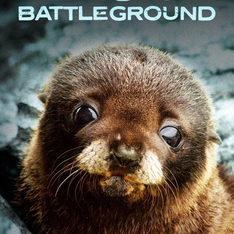 Fur Seals