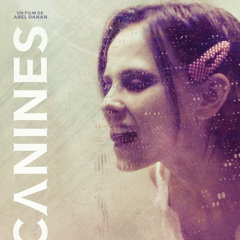 Canines