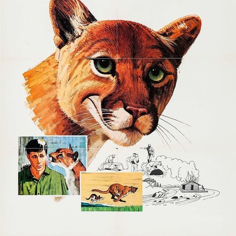 Charlie, the Lonesome Cougar