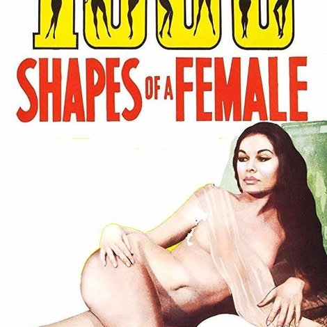 1,000 Shapes of a Female