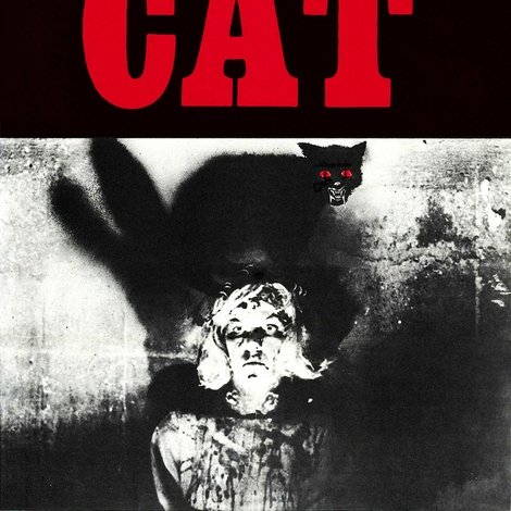The Black Cat