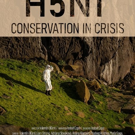 H5N1: Le jour de la pandémie
