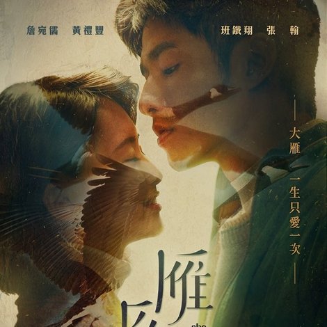 雁雁