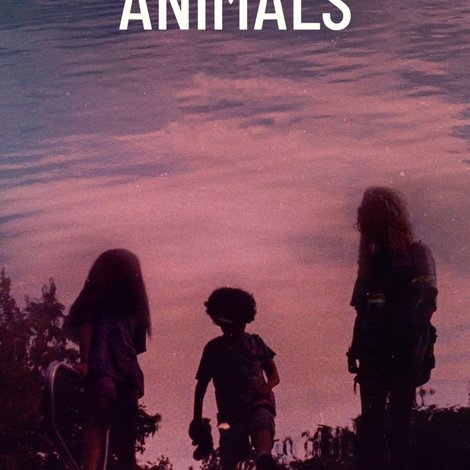 Summer Animals