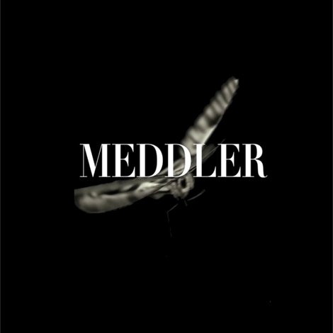 Meddler