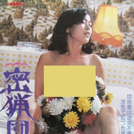 密漁団地妻