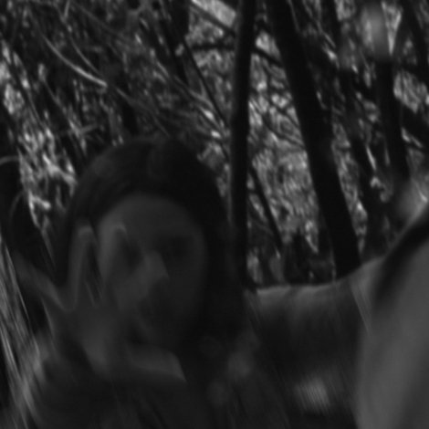 Spells and Magicians Chapter Five: The Miracle of Deforestation