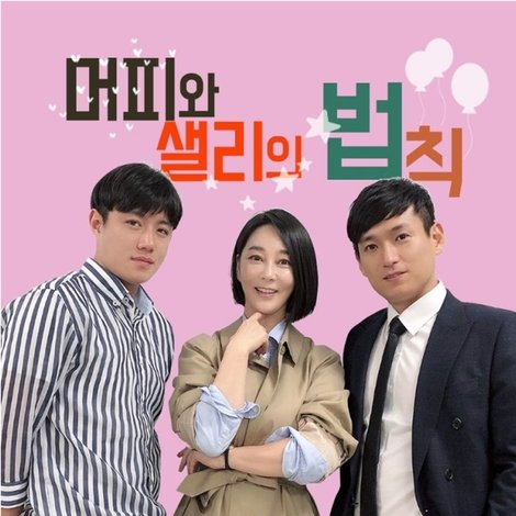 머피와 샐리의 법칙