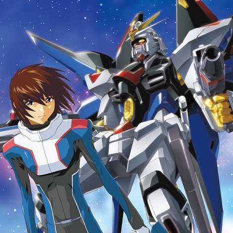 機動戦士ガンダムSEED DESTINY スペシャルエディション完結編 自由の代償