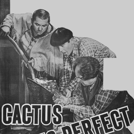 Cactus Makes Perfect