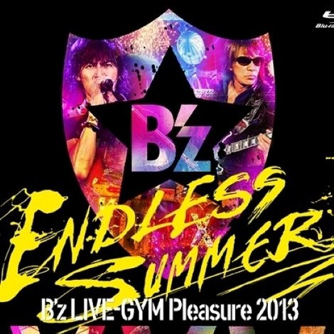 B'z LIVE-GYM Pleasure 2013 ENDLESS SUMMER -XXV BEST-
