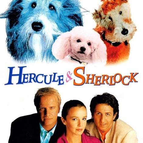 Hercule et Sherlock