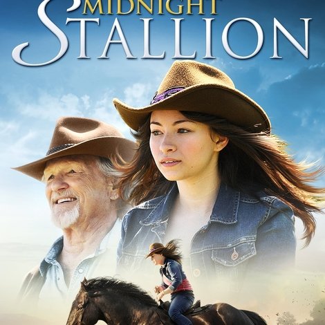 Midnight Stallion