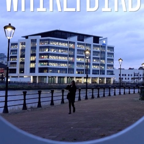 Whirlybird