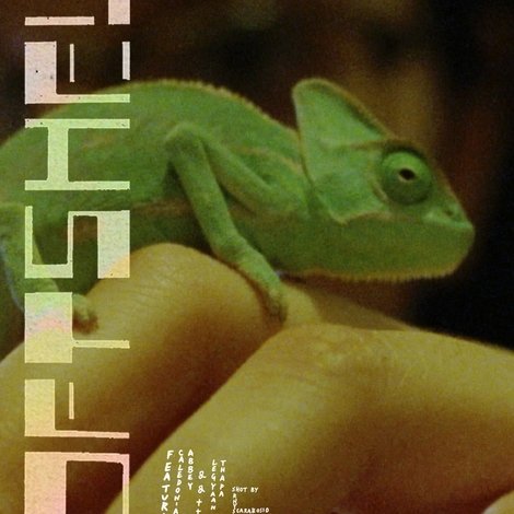 Softshell