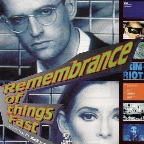 Remembrance of Things Fast: True Stories Visual Lies