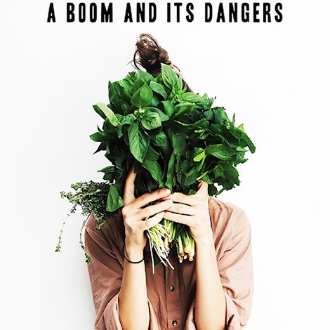 Vegan Alert: A Boom and its Dangers