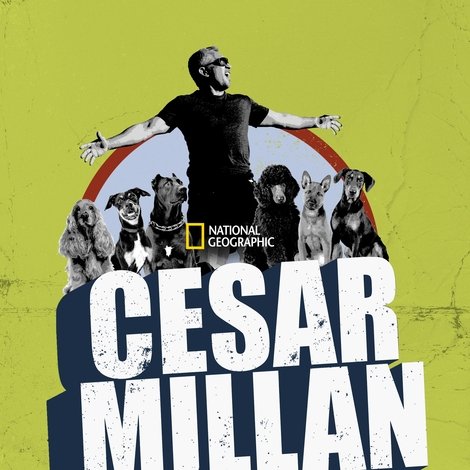 Cesar Millan: The Real Story