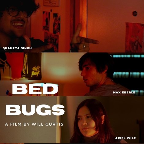 Bed Bugs