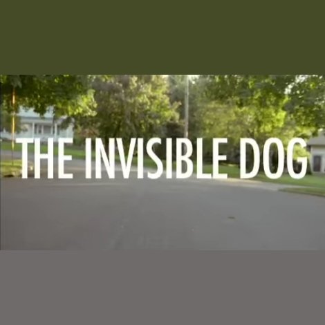 The Invisible Dog
