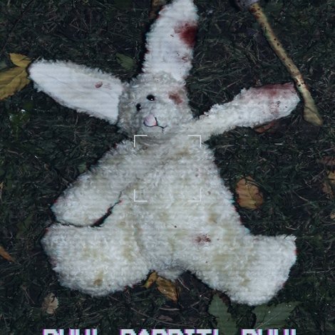 RUN! RABBIT! RUN!