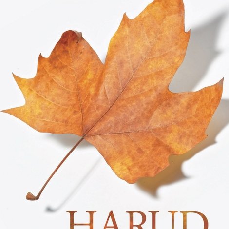 Harud