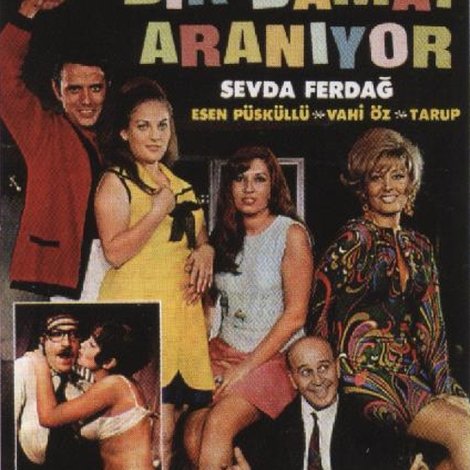 Bir Damat Aranıyor