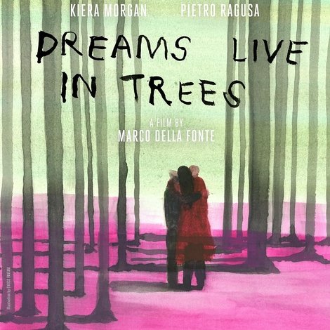 I sogni abitano gli alberi