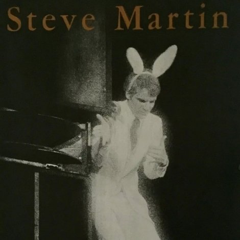 Steve Martin: A Wild and Crazy Guy