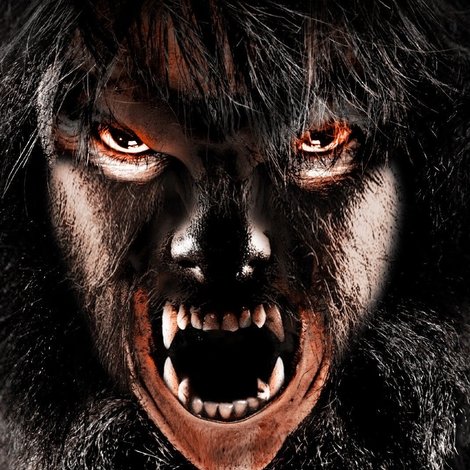 A Werewolf in Slovenia