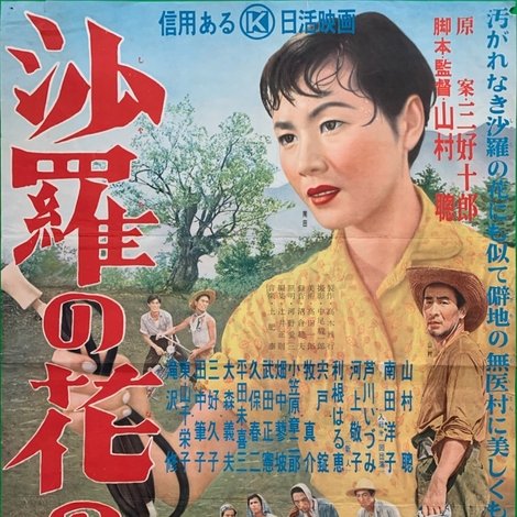 沙羅の花の峠