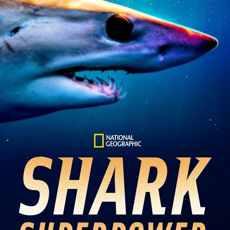 Shark Superpower