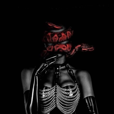 Nneka the Pretty Serpent