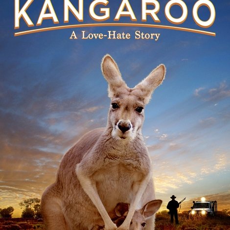 Kangaroo: A Love-Hate Story