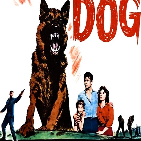 Wolf Dog