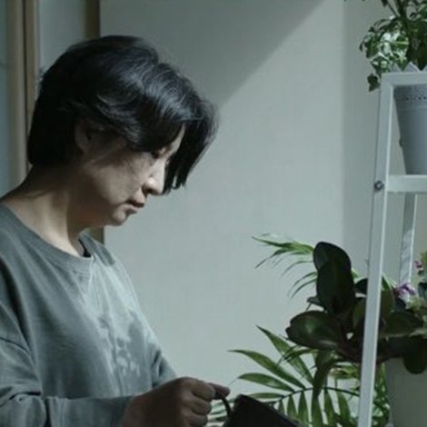 화분
