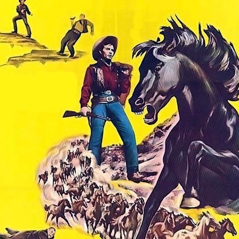 King of the Wild Stallions