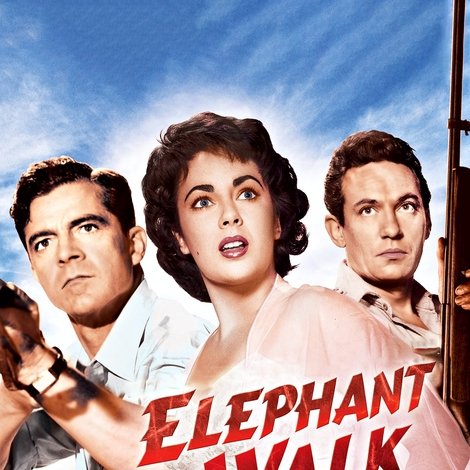 Elephant Walk