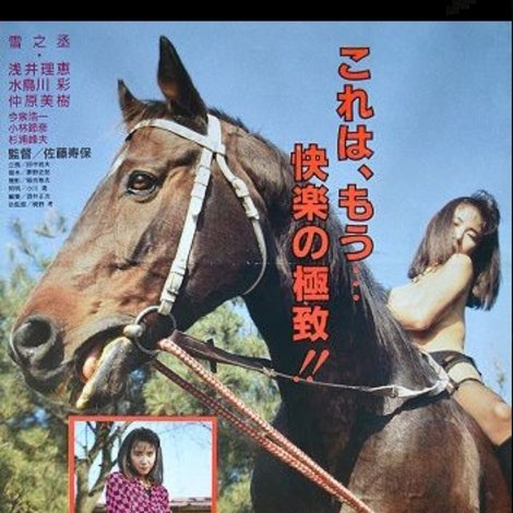 馬小舎の令嬢