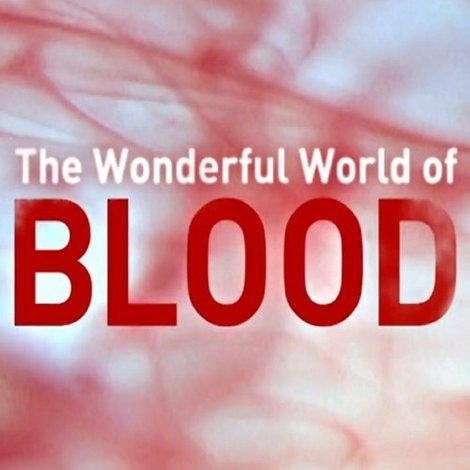 The Wonderful World of Blood with Michael Mosley