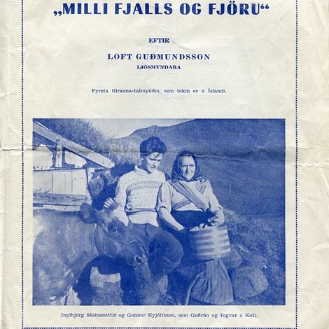Milli fjalls og fjöru