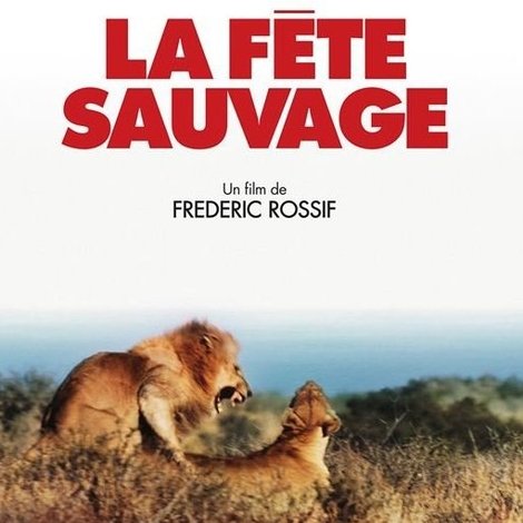 La fête sauvage