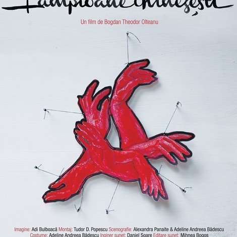 Lampioane chinezești