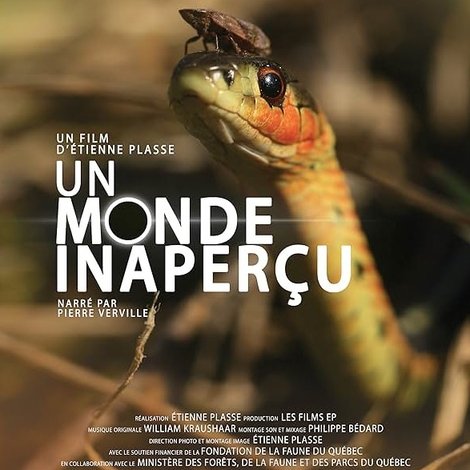 Un monde inaperçu