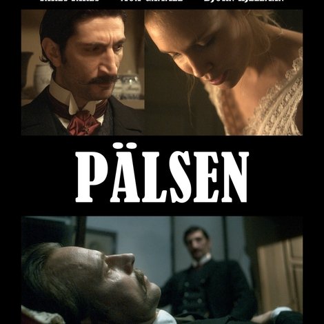 Pälsen